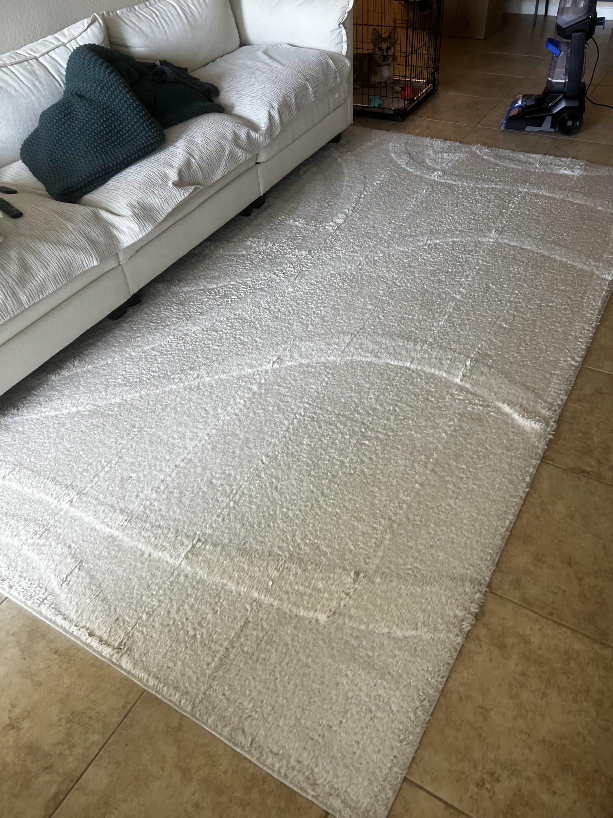 BISSELL TurboClean Pet XL Upright Carpet Cleaner, Upholstery Tough Stain Tool & Formula included, 3746 Customer Review BISSELL TurboClean Pet XL Upright Carpet Cleaner, Upholstery Tough Stain Tool & Formula included, 3746 - Customer Photo 2