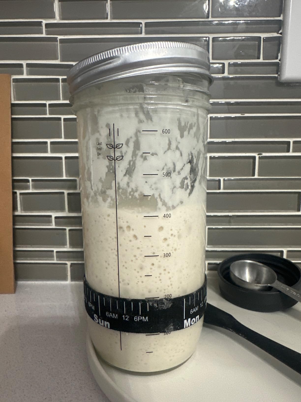 Sourdough Bread Baking Supplies,24 oz Sourdough Starter Jar Glass, Sourdough Starter Kit with Date Marked Feeding Band, Thermometer, Silicone Scraper, Sewn Cloth Cover & Aluminum Lid - Customer Photo 2