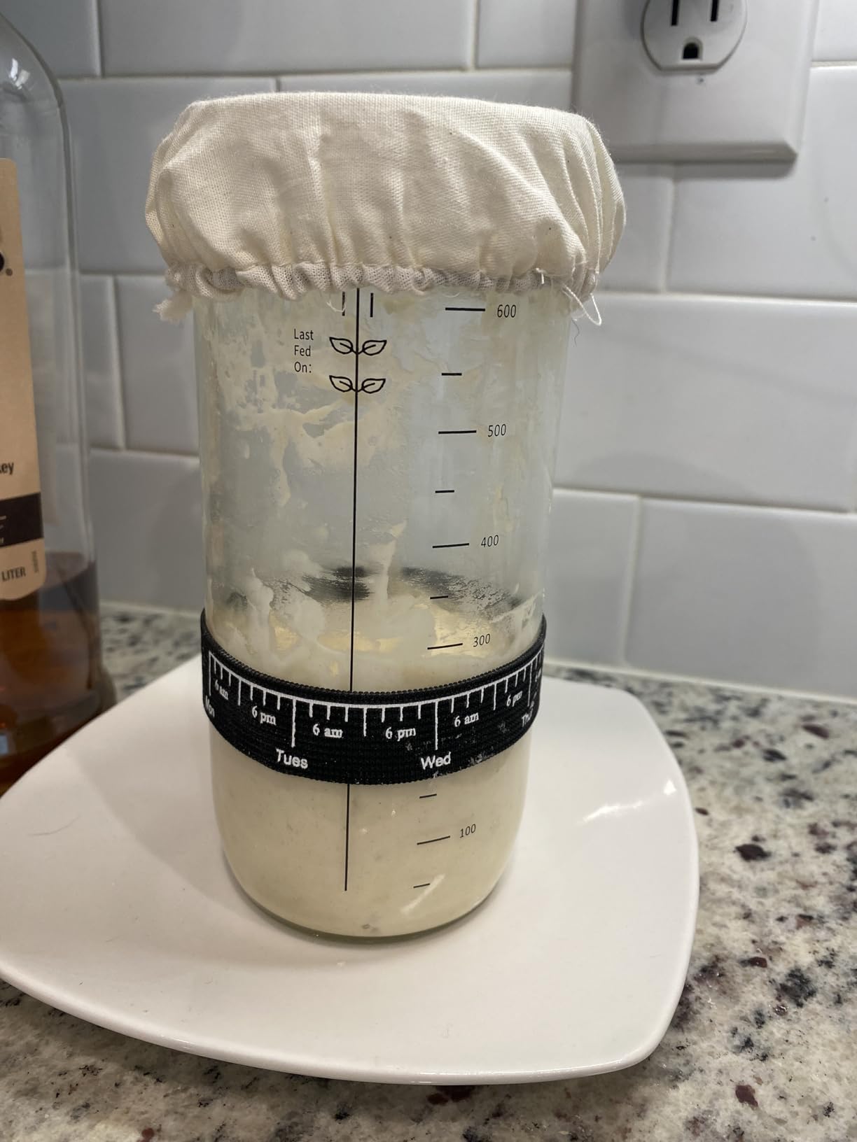 Sourdough Bread Baking Supplies,24 oz Sourdough Starter Jar Glass, Sourdough Starter Kit with Date Marked Feeding Band, Thermometer, Silicone Scraper, Sewn Cloth Cover & Aluminum Lid - Customer Photo 5
