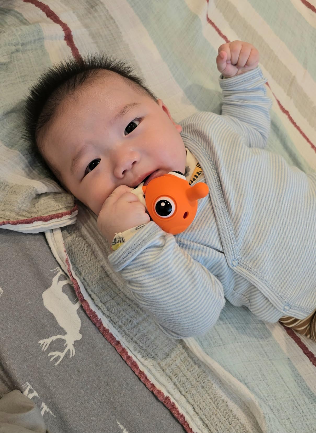 Baby Teething Toys 3-6 Months with Pacifier Clip, Mombella Clownfish Teether for Babies 6-12 Months, Food Grade Silicone Infant Teething Relief Toy, Baby Shower Gifts for Newborn Boys Girls, Tanned - Customer Photo 4