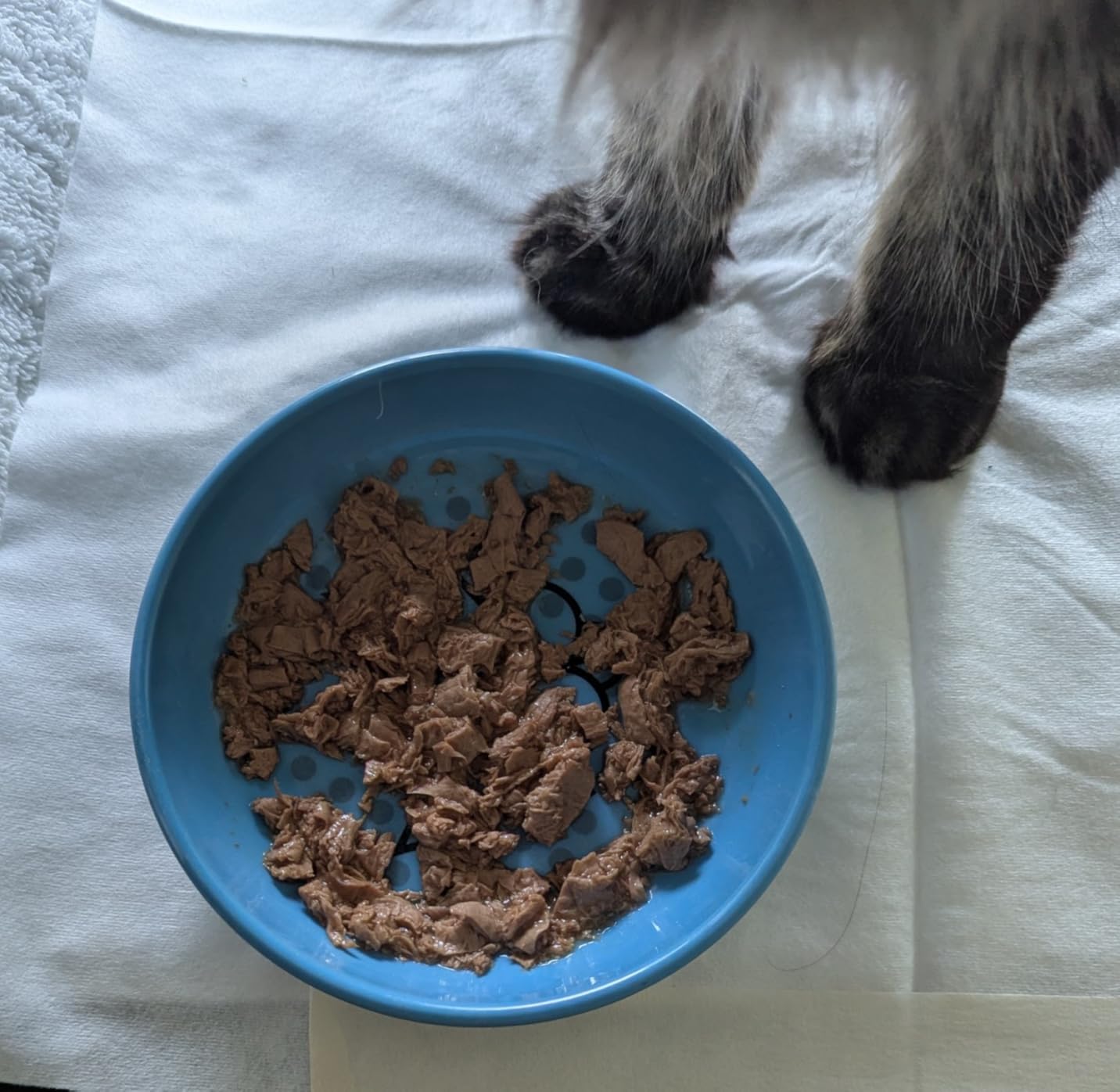 Purina Pro Plan Indoor Balance Chicken, Salmon, and Ocean Whitefish and Tuna Cat Food Wet Entrees Variety Pack - 24 ct. Can - Customer Photo 2