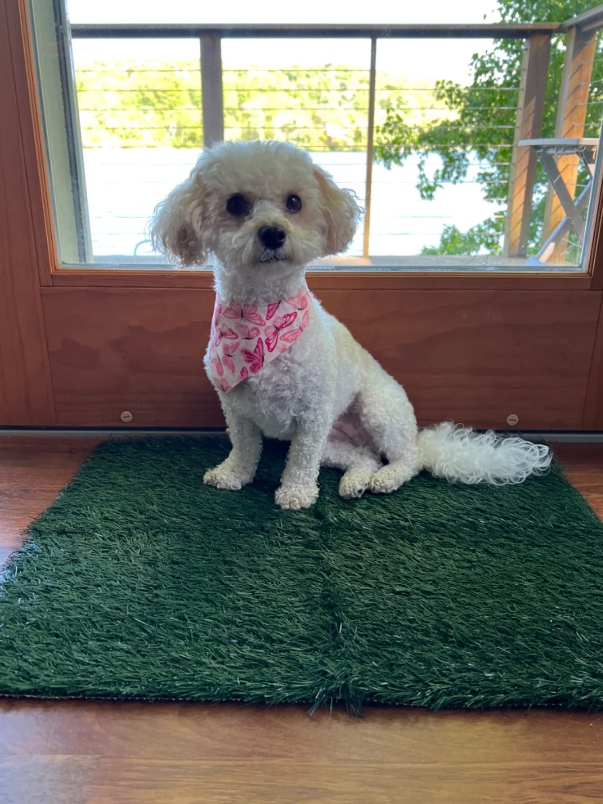 Dog Pee Grass Pet Loo Indoor/Outdoor Portable Potty, Washable Professional Artificial Grass Patch Mat Rug Turf for Pet Training with Drainage Hole & Easy to Clean(Replacement Grass, 27.6 Dog Pee Grass Pet Loo Indoor/Outdoor Portable Potty, Washable Professional Artificial Grass Patch Mat Rug Turf for Pet Training with Drainage Hole & Easy to Clean(Replacement Grass, 27.6