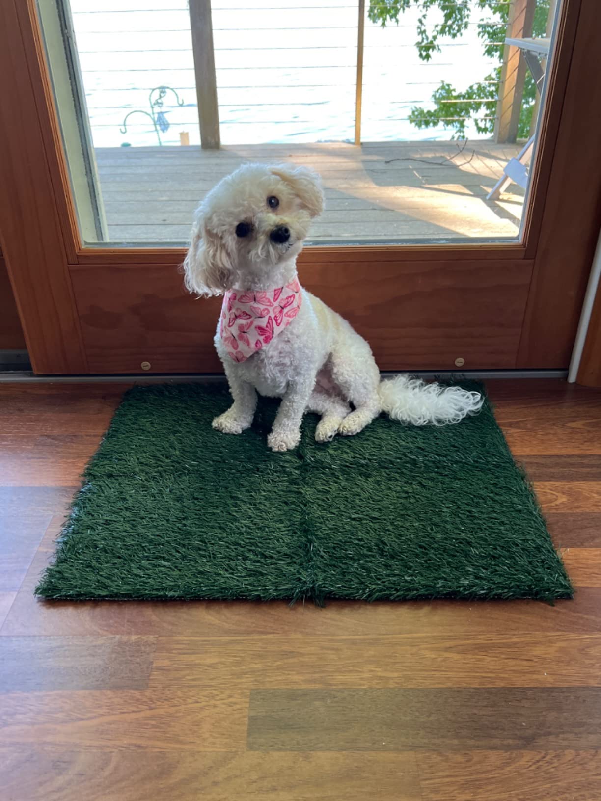 Dog Pee Grass Pet Loo Indoor/Outdoor Portable Potty, Washable Professional Artificial Grass Patch Mat Rug Turf for Pet Training with Drainage Hole & Easy to Clean(Replacement Grass, 27.6 Dog Pee Grass Pet Loo Indoor/Outdoor Portable Potty, Washable Professional Artificial Grass Patch Mat Rug Turf for Pet Training with Drainage Hole & Easy to Clean(Replacement Grass, 27.6
