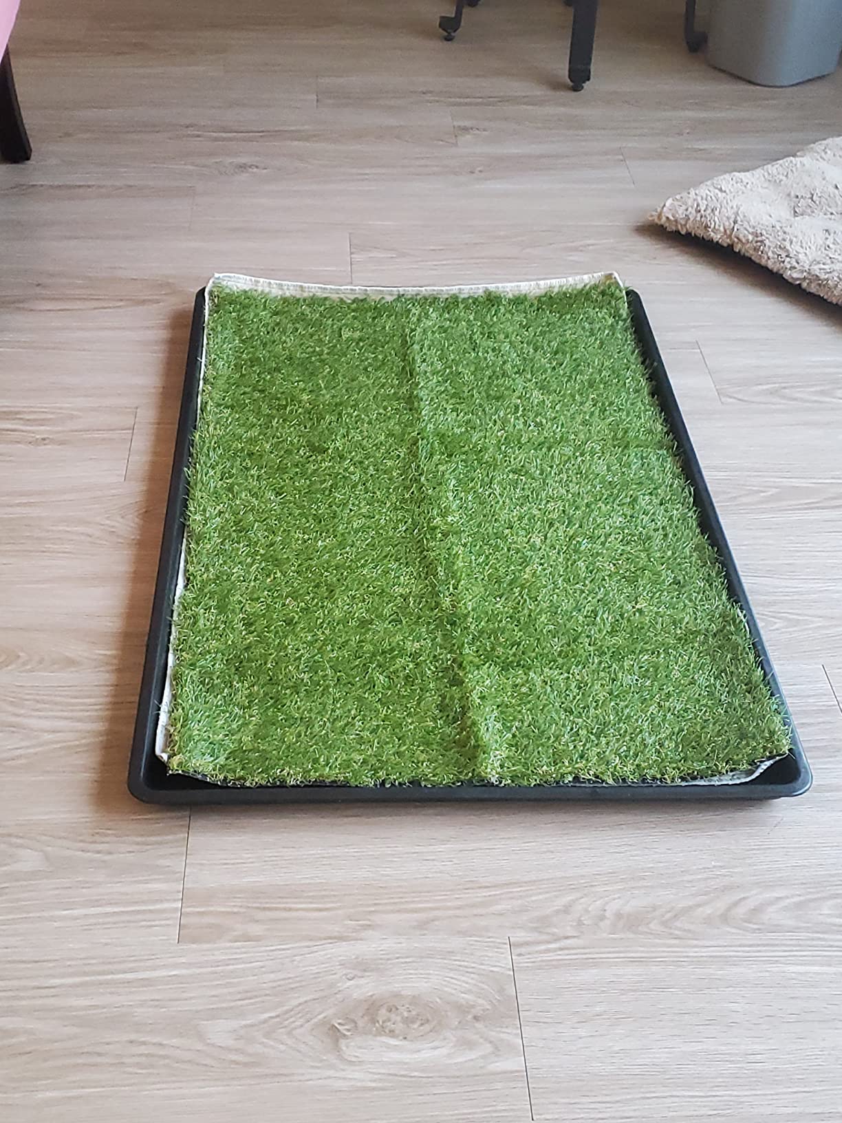 Artificial Grass Pad for Dogs Potty: Fake Grass for Dogs Puppy Potty Training to Pee and Poop on Balcony, Backyard, Patio, Apartment - Protect Floor and Furnitures, 2X Faster Drainage, Easy to Clean Customer Review Artificial Grass Pad for Dogs Potty: Fake Grass for Dogs Puppy Potty Training to Pee and Poop on Balcony, Backyard, Patio, Apartment - Protect Floor and Furnitures, 2X Faster Drainage, Easy to Clean - Customer Photo 1