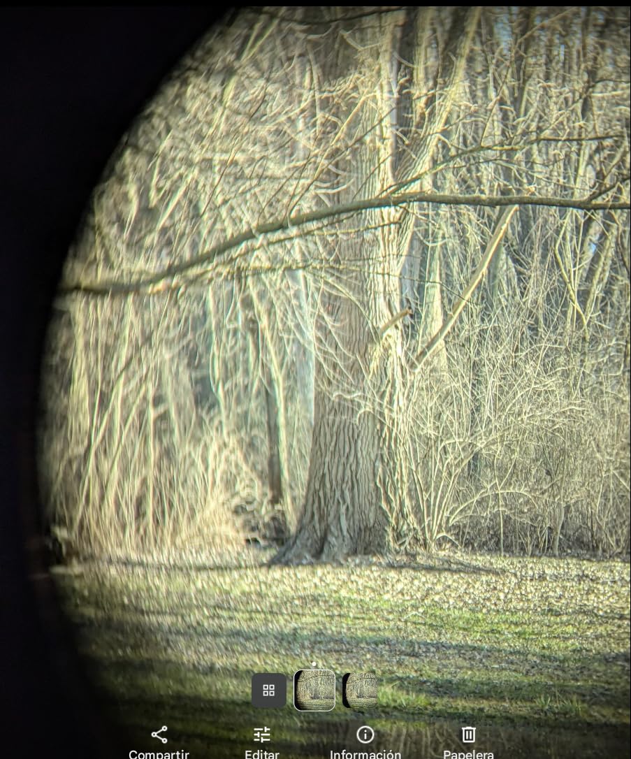 INFISCOPE 6x24 Compact Binoculars HD - 0.5m Close Focus Waterproof Fog-Proof IPX7,BAK-4 Prism Binoculars for Bird Watching, Hunting & Travel, Twist-Up Eyecups & 388g Lightweight for Adults/Kids - Customer Photo 2