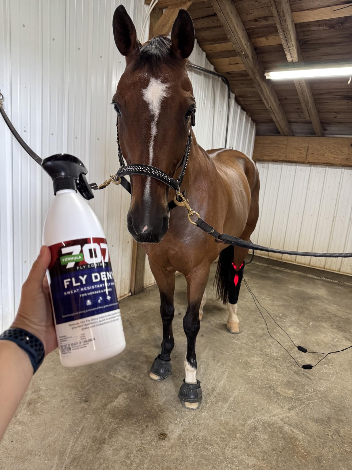 Formula 707 Fly Deny Spray for Horses & Ponies, Sweat-Resistant 14-Day Protection from Flies, Gnats & Mosquitoes, Repels and Kills, 32 Oz - Customer Photo 2