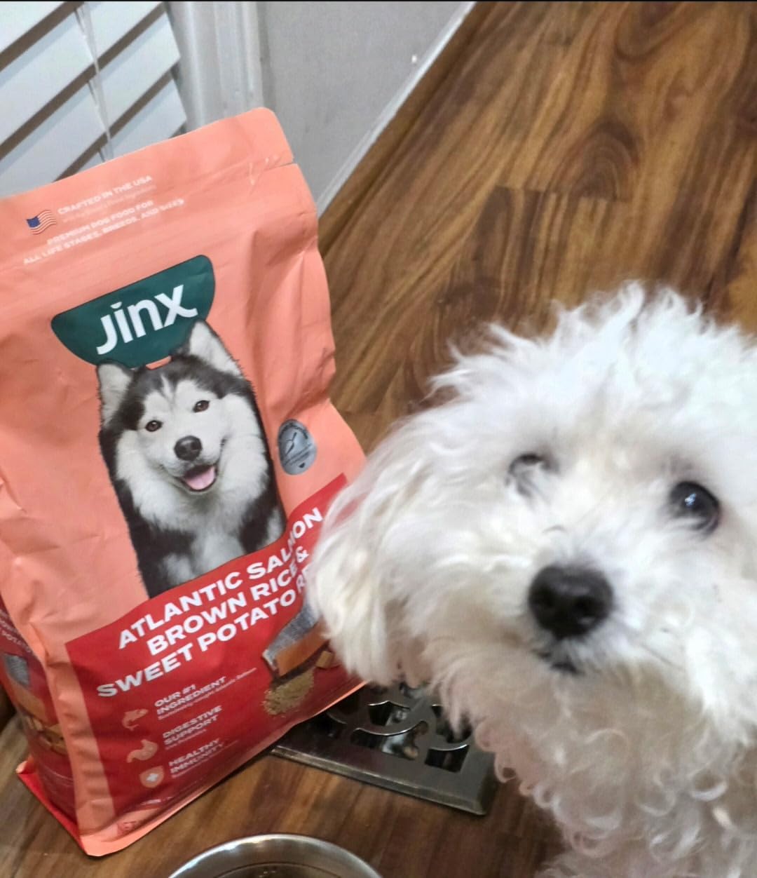 Jinx Premium Dry Dog Food Small Breed - Real Salmon & Sweet Potato Kibble with Superfoods for Immune Support & Probiotics for Digestive Support - No Fillers – 4lb - Customer Photo 1