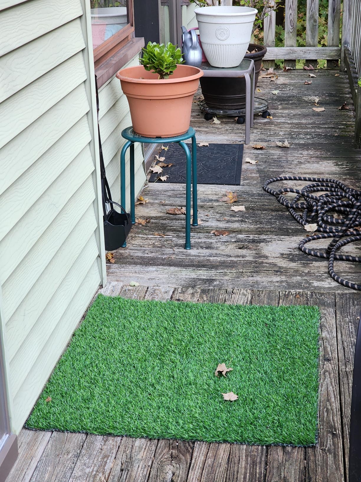 Realistic Artificial Grass Rug Indoor Outdoor: Fake Grass Turf with Drainage Holes, Pet-Friendly Dog Grass Mat, Perfect for Garden Lawn Balcony Patio Backyard Landscape Decoration, 4FT x6FT Customer Review Realistic Artificial Grass Rug Indoor Outdoor: Fake Grass Turf with Drainage Holes, Pet-Friendly Dog Grass Mat, Perfect for Garden Lawn Balcony Patio Backyard Landscape Decoration, 4FT x6FT - Customer Photo 1