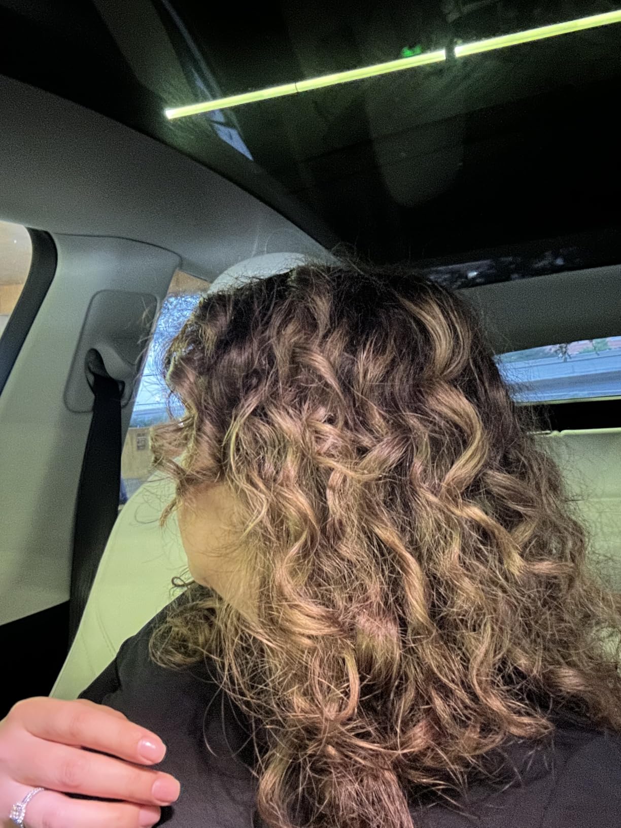 Hair Dryer with Diffuser for Curly Hair, Blow Dryer, 110000 RPM Professional High Speed Hairdryer with Negative Ions, 1400W Blow Dryer with 6.5 Ft Cord Fast Drying for Women Men Customer Review Hair Dryer with Diffuser for Curly Hair, Blow Dryer, 110000 RPM Professional High Speed Hairdryer with Negative Ions, 1400W Blow Dryer with 6.5 Ft Cord Fast Drying for Women Men - Customer Photo 1