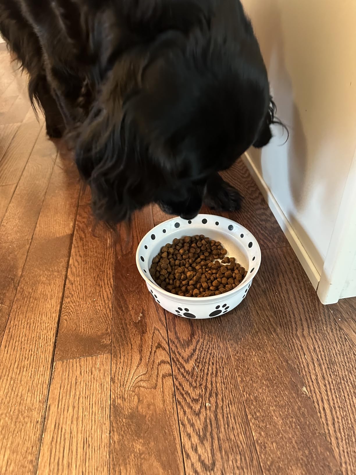 Canidae Pure Farm to Bowl, Grain-Free, Wild-Caught Salmon & Sweet Potato Dog Food, Adult 22lb - Customer Photo 1