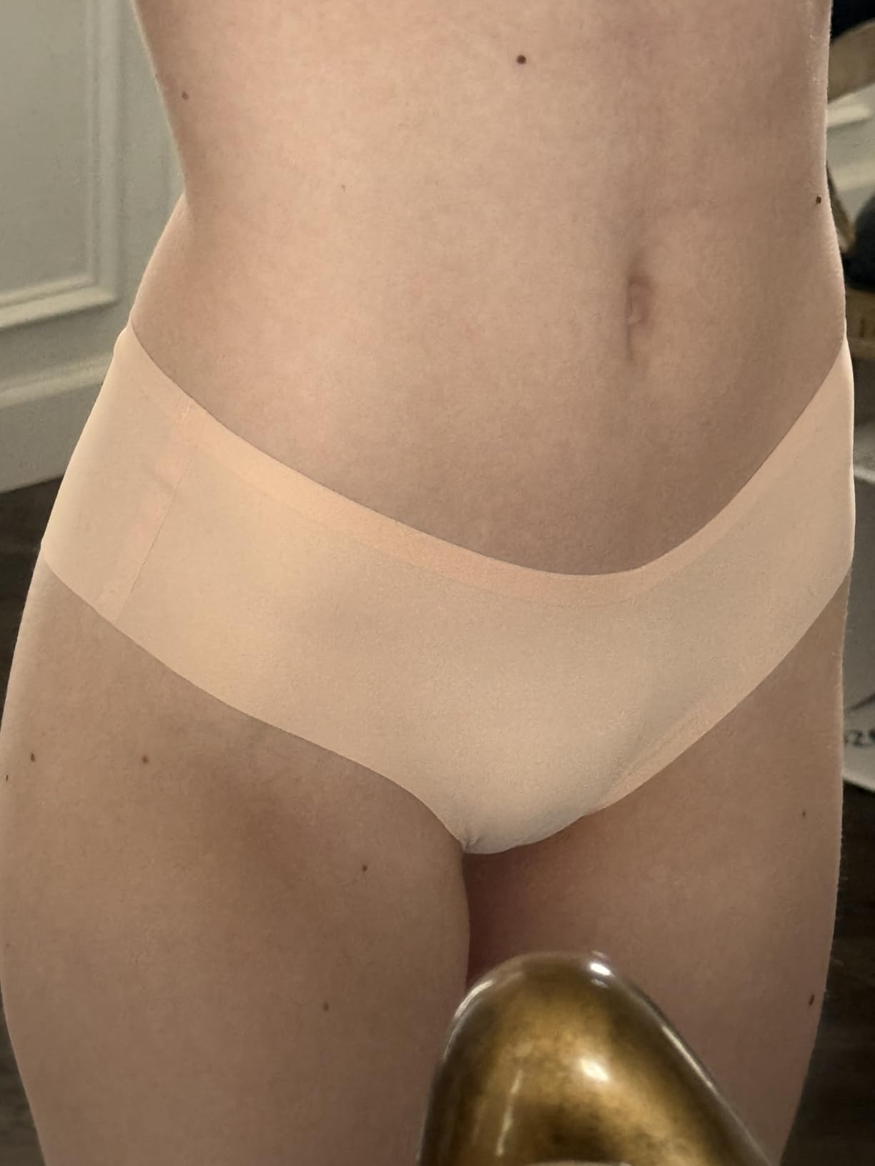 Women's Seamless Bikini Panties Soft Stretch Invisibles Briefs No Show Hipster Underwear cheeky 9 pack XS-L customer photo 1