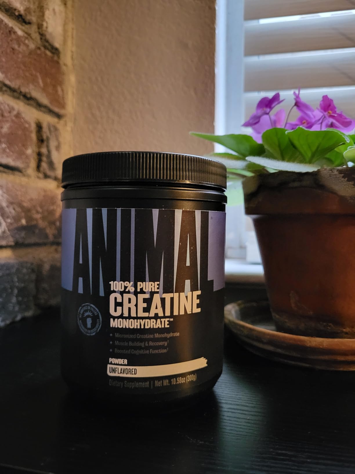 Animal Creatine Monohydrate Powder - Micronized Creatine for Women and Men, Supports Muscle Growth, Strength, Endurance, Recovery and ATP Production, Gym & Workout Supplements - Unflavored, 300g customer photo 2