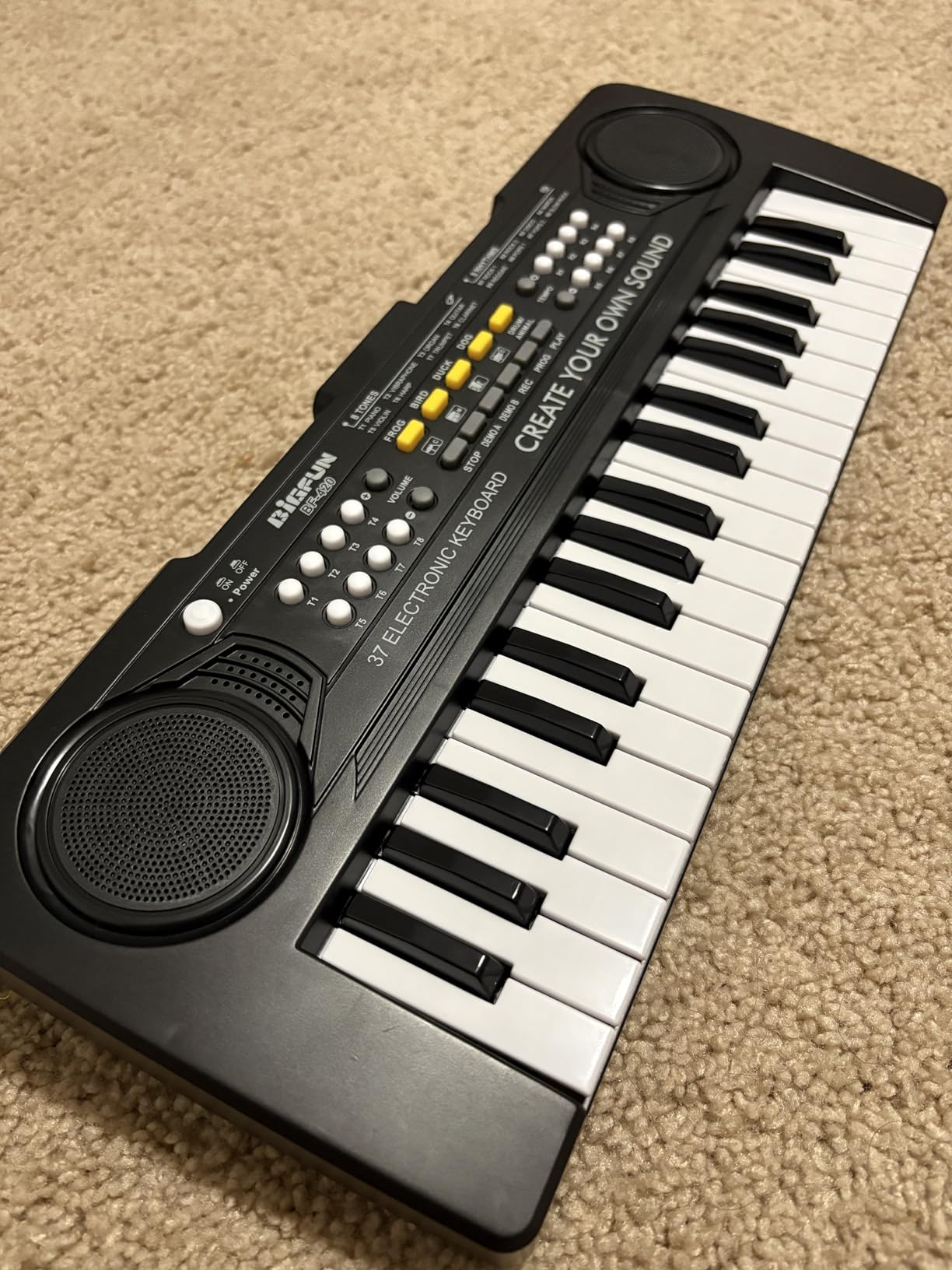 Raimy 37 Keys Keyboard Piano for Kids, Early Learning Educational Portable Electronic Musical Instrument Toys Gifts for 3-9 Year Old Boys and Girls customer photo 1