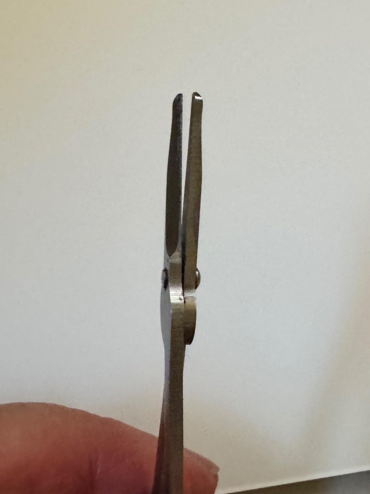 Seki Edge Stainless Steel Nostril Scissors (SS-908) - Safety Grooming Scissors with Round Blunt Tips customer photo 1