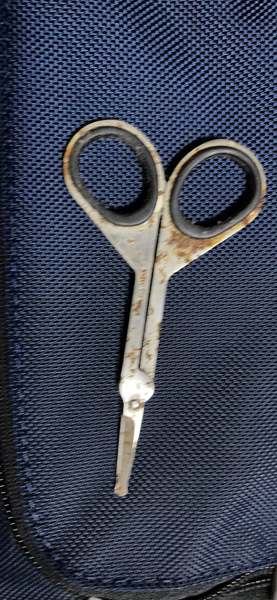 Seki Edge Stainless Steel Nostril Scissors (SS-908) - Safety Grooming Scissors with Round Blunt Tips customer photo 2