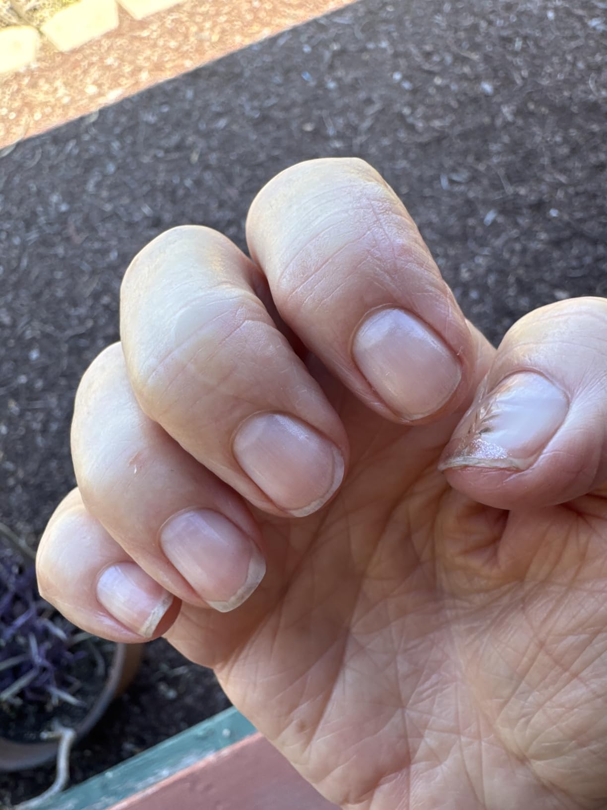 Organic Nail and Cuticle Oil - USA Made Nail Oil for Growth & Strength with Jojoba and Vitamin E, 0.7 fl oz customer photo 2