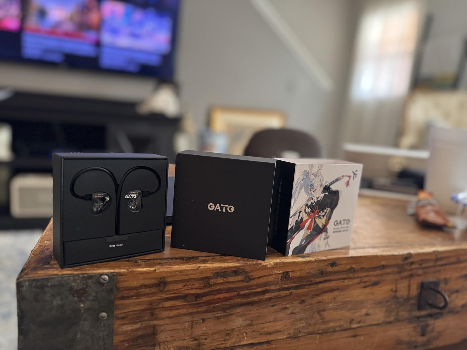 TRUTHEAR GATE Dynamic Driver In-Ear Headphone 3.5mm Interchangeable Cable (Black, No Mic) customer photo 2
