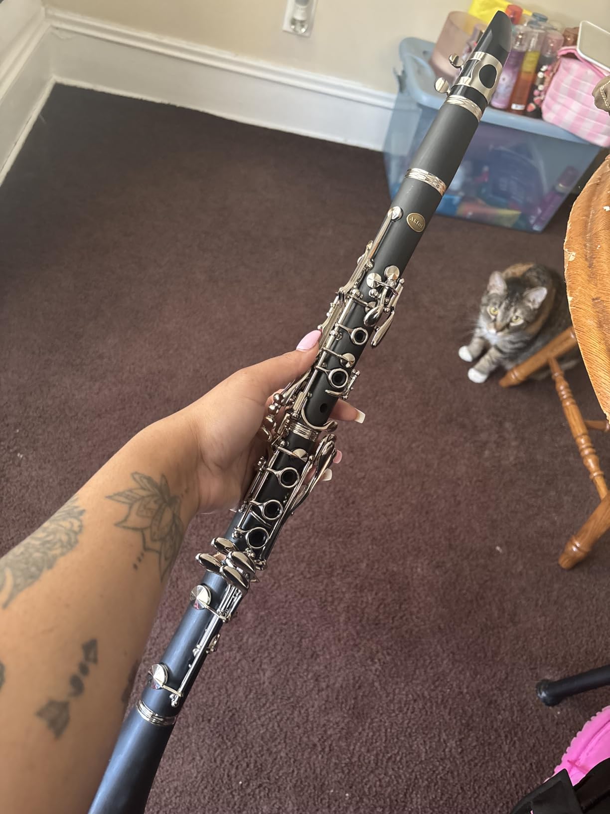 AKLOT B Flat Concert Clarinet: Precision Tone Hole Design for Stable Intonation, Durable Nickel-plated Keys, Including Leather Hard Case, Barrel, Stand, Full Cleaning Kit (Aria-PS) customer photo 1