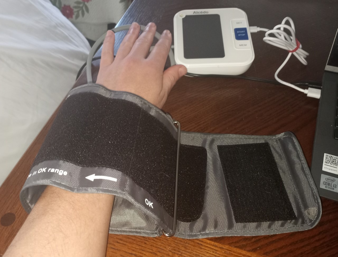 Alcedo Blood Pressure Monitor for Home Use, Upper Arm Cuff BP Machine | Large LCD Screen, Talking Function, 2x120 Memory, Large Cuff (8.7-16.5