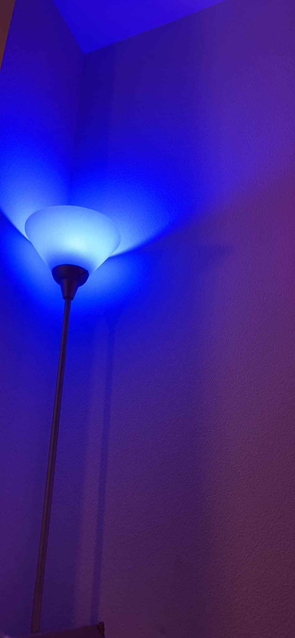 DAYBETTER Smart Light Bulbs, RGBCW Wi-Fi Color Changing Led Bulbs Compatible with Alexa & Google Home Assistant, A19 E26 9W 800LM Multicolor Bulb, No Hub Required, 6 Pack customer photo 1