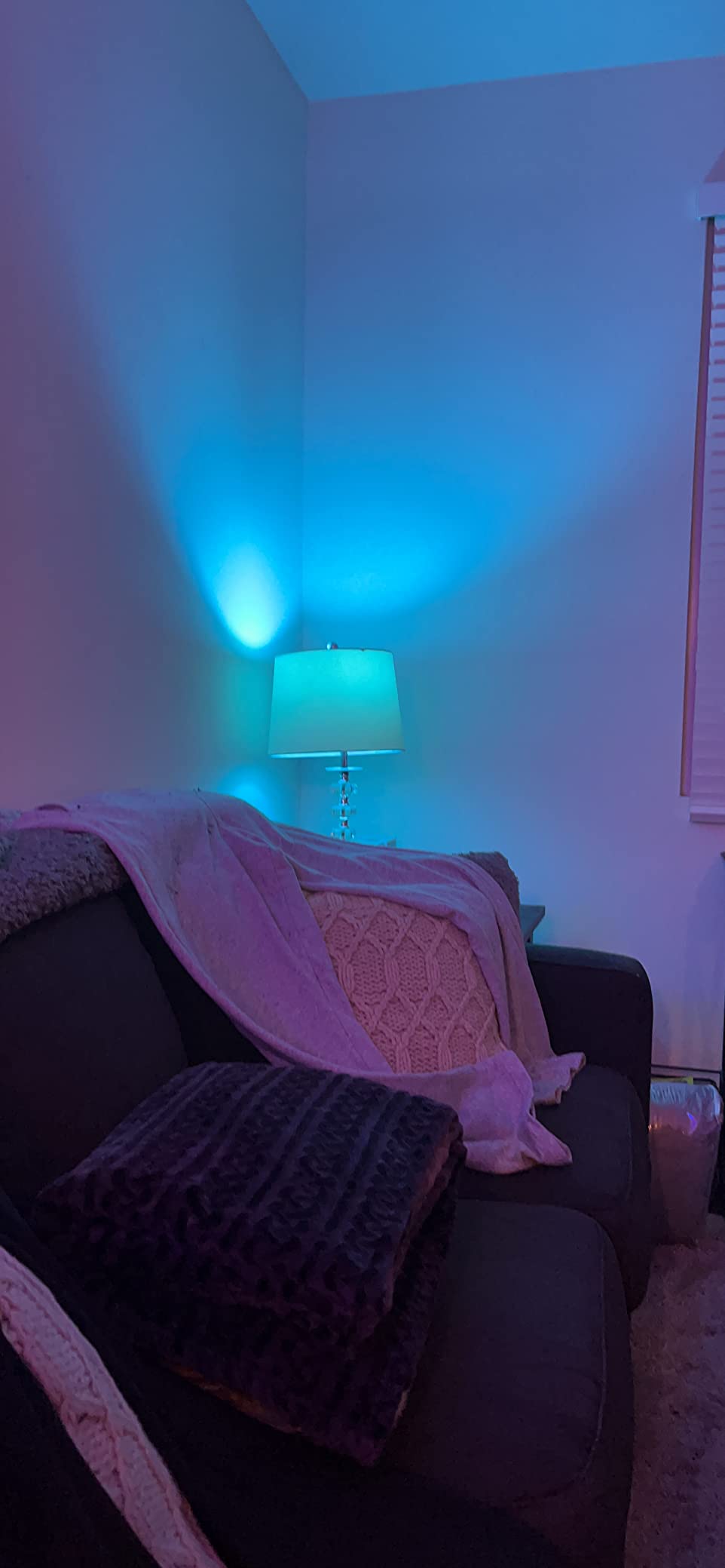 DAYBETTER Smart Light Bulbs, RGBCW Wi-Fi Color Changing Led Bulbs Compatible with Alexa & Google Home Assistant, A19 E26 9W 800LM Multicolor Bulb, No Hub Required, 6 Pack customer photo 2