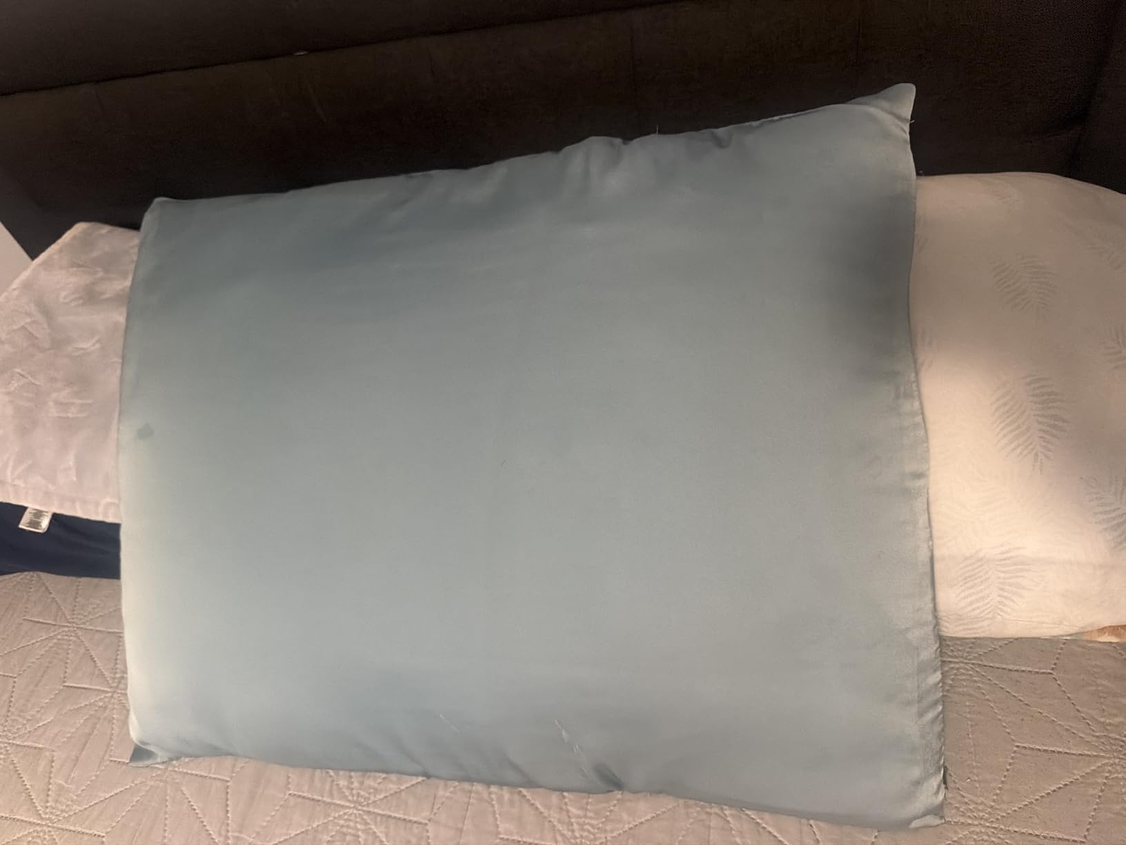 Mulberry Silk Pillowcase for Hair and Skin Standard Size 20