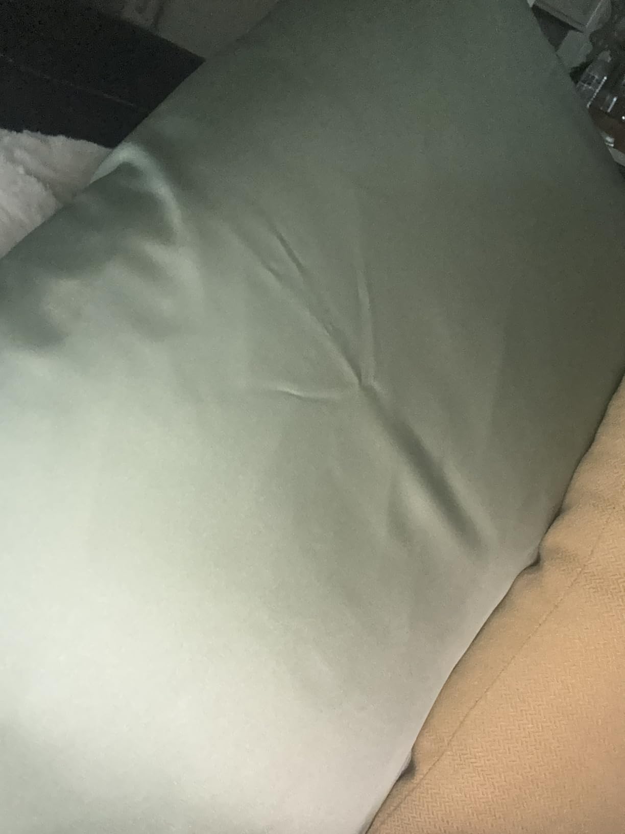 Silk Pillow Cases 2 Pack, Mulberry Silk Pillowcases Standard Set of 2, Health, Smooth, Anti Acne, Beauty Sleep, Both Sides Natural Silk Satin Pillow Cases for Women 2 Pack with Zipper for Gift, White customer photo 2