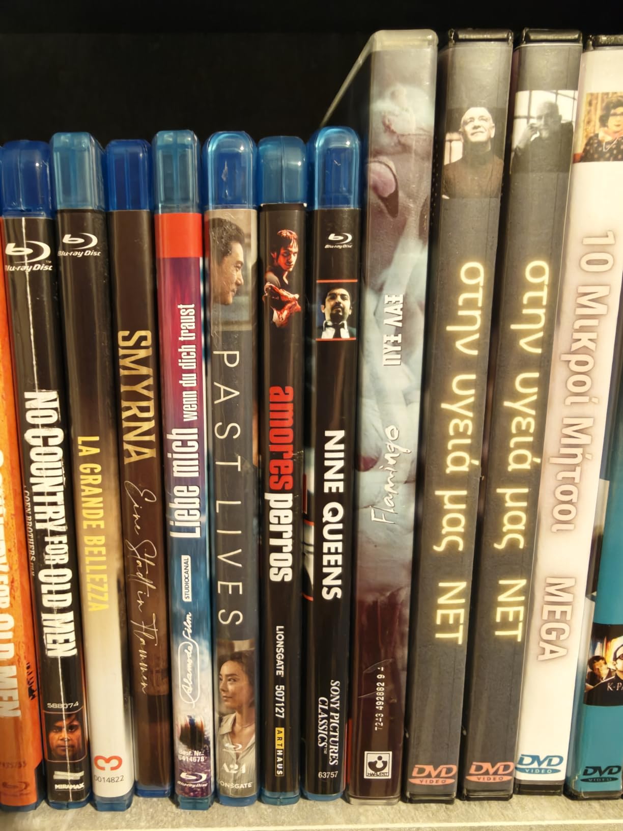 Past Lives - DVD customer photo 1