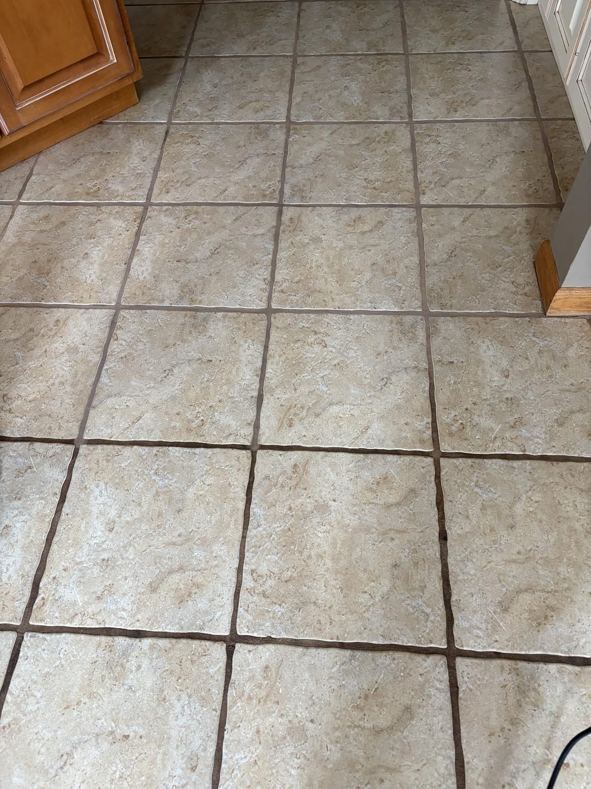 Shark Steam Pickup 3-in-1 Steam Mop for Sealed Hard Floors, SD201 | Picks Up Debris, Deep Scrubs & Steam Sanitizes All At Once, Lightweight Steam Cleaner customer photo 1
