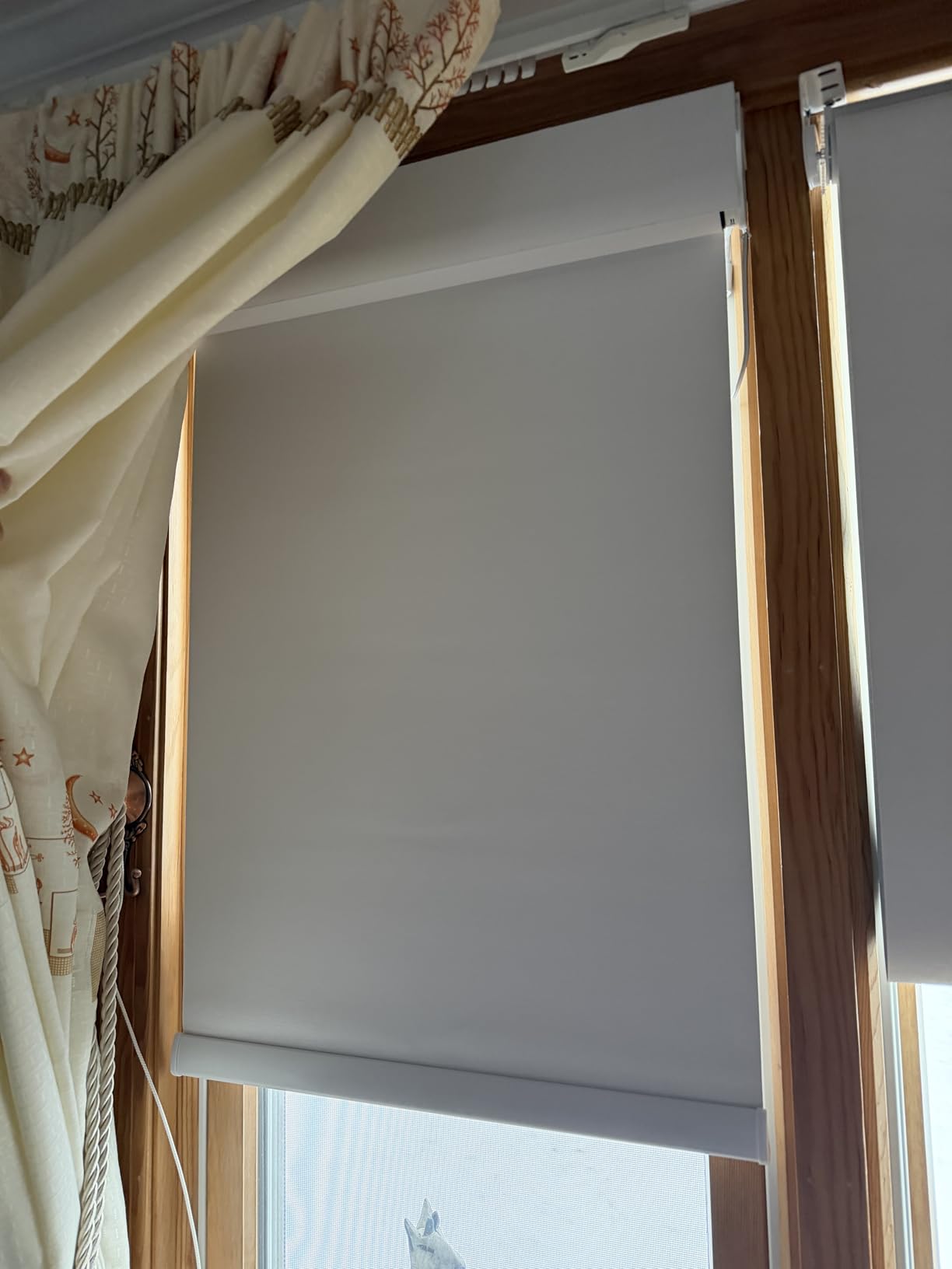 No Drill Motorized Blinds with Remote, 100% Blackout Roller Shades | Custom Smart Electric Blinds Work with Alexa, Apple Homekit, Google, Cordless Automatic No Drill Shades with UV Protection customer photo 2